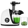 Jocuu Slow Masticating Juicer with 2-Speed Modes - Cold Press