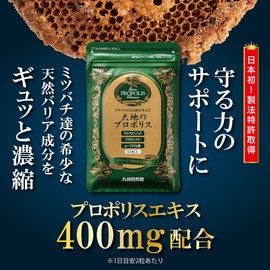 Kyushu Natsuya Group Earth Propolis 62 Capsules / Approx. 1 Month Supply (Pouch), Brown