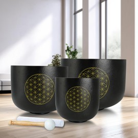 Siceeoly Set of 3 Singing Bowls Flower of Life Black 6-10 inch 6"A 8"F 10"C Frosted Chakra Quartz Crystal Sound Healing Crystal with 1 Mallet Suede 1 Striker 3 O-rings