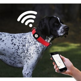 Lionheart glory Airtag Dog Collar Reflective Dog Collars with Airtag Hloder Female Male Red Collar Dog Adjustable Durable Soft Classic Collar for Small Dogs Pet Gift