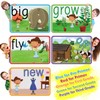 SpringFlower Sight Words Flash Cards with Pictures,Motions&Sentences, 220 Dolch Sight