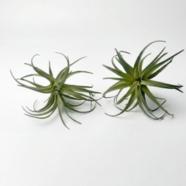 Artificial Plants & Greenery 2Pcs Faux Decor Set