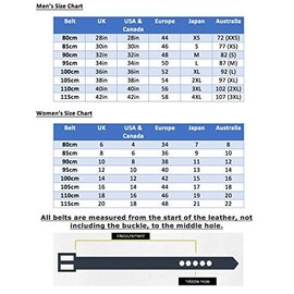 Carlos Diaz Mens Womens Premium Unisex Brown Leather Embroidered Designer Polo Belt (110 cm/ 42-44 Inches)