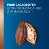 Vaseline Cocoa Radiant Bundle Lotion 600ml Hand 75ml Lip 4g