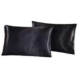 Silk Pillow case for Hair and Skin Queen - Pillow cases 2 Pack 20x30 inches - Pair of Silk Pillow Covers Pillow Cases Set of 2 (Black)