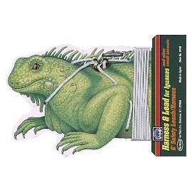 Vo-Toys Iguana Harness and Lead 6ft