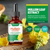 3 Pack Mullein Leaf Extract for Lungs: Mullein Leaf Extract