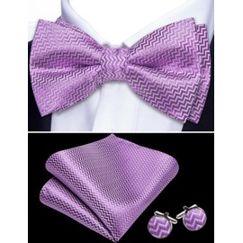 Barry.Wang Lavender Bow Ties for Men Pre-tied Bow Tie with Pocket Square Cufflinks Set Classic Striped Bowties for Party