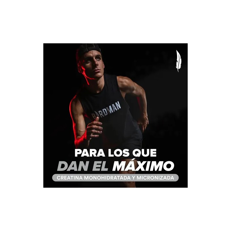 Creatina Monohidratada Pura 3 Botes De 450g 270 Serv Birdman