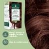 HERBATINT, Coloración Permanente para Cabello en Gel - color CASTAÑO