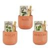 Mud Pie Oregano Herb Planting Set