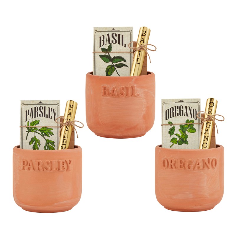 Mud Pie Oregano Herb Planting Set