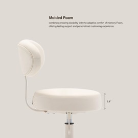 DR.LOMILOMI Pneumatic Swivel Rolling Stool Chair with Backrest 503 Kai (Cream)