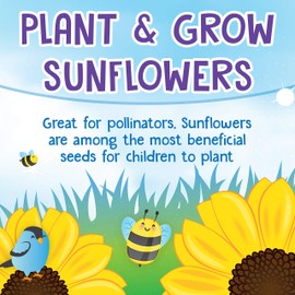 Creativity for Kids Sunflower Garden - Sunflower Kit for Girls and Boys (Ages 6+)