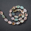 BENECREAT 30 Packs Natural Abalone Shell Oval Abalone Shell Beads