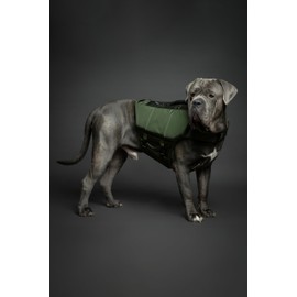 Noah & Paw Dog Life Jacket, Human Standards Lifejacket Design, Dog Life Vest for Swimming and Boating, 3X Foam Support for Max Floating, Breathable Mesh, Salvavidas para Perros, Sizes XS, S, M, L, XL