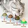 Catnip Toy, Pack of 8 Catnip Ball, Edible Rotating Catnip