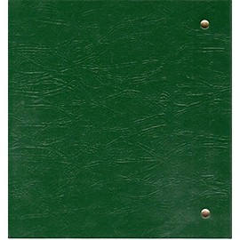 Littleton Morgan Dollars 1878-1891 Archival Quality Album