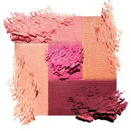 Palladio 2-In-1 Mosaic Blush and Bronzer, Polvo Prensado de Maquillaje Facial Suave y Sedoso, Cinco Tonos de Color desde Rosas Brillantes hasta...    