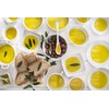 Lodi Ascolano Extra Virgin Olive Oil - Premium California Olive