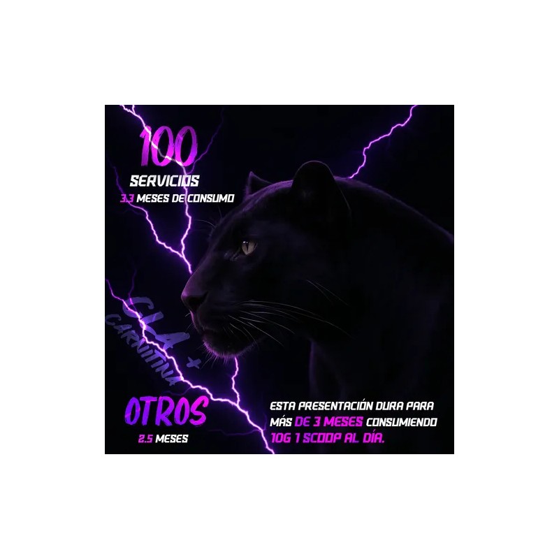 Cla Carnitina Panther Protein 1kg 100 Servicios Sabores