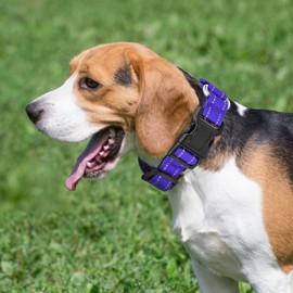 Reflective Martingale Dog Collars. Dog Collar with Quick Release Buckle. Adjustable Soft Padded Breathable Nylon Pet Collar Suitable for Puppies for Small Medium Large Dogs.