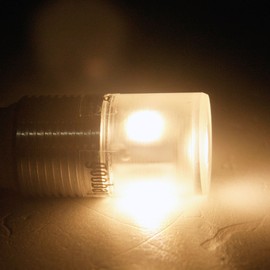 Wentronic 30464 LED Lamp for G4 Lamp Base Light Colour Ambient White