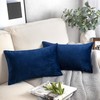 Phantoscope Pack of 2 Velvet Decorative Throw Pillow Covers Soft