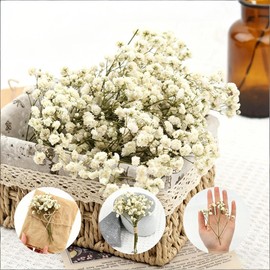 AYZDJ 100 Pcs Dried Pressed Flowers - Natural Baby's Breath Mini Real Flowers for Crafts, Resin Art, DIY Epoxy, Wedding Cards, Vase Fillers & Home Decor