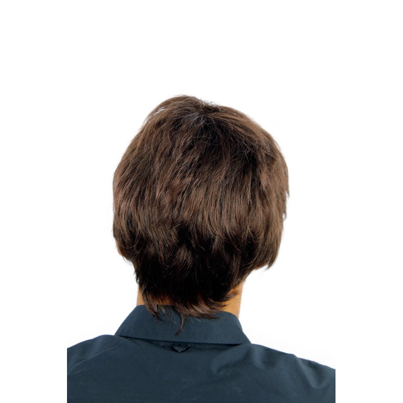 Wig Me Up – Wig Wig Men Brown Mixed Full