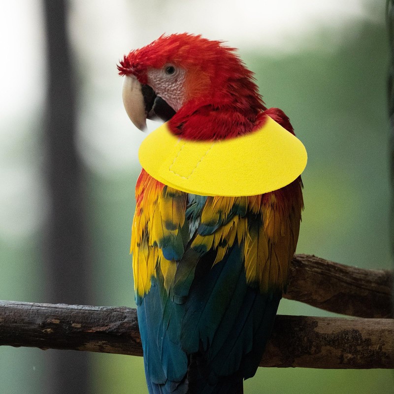 POPETPOP Bird Anti-bite Collar: Bird Protective Collar Parrot Protective Collar