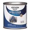 Rustoleum 224423 8 oz Indoor/Outdoor Latex Paint