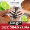 Old Spice Swagger - Champú y acondicionador 2 en 1