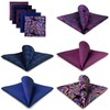 Shlax&Wing Pack of 5 Assorted Handkerchiefs for Men Square Size