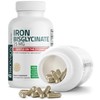 Bronson Iron Bisglycinate 25 mg Gentle on The Stomach, Supports