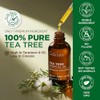100% Pure Tea Tree Essential Oil - 4 Fl Oz