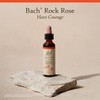 Bach Flower Essences Rock Rose Rosa de roca 20 ml