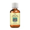 Devprayag Pure Betel Leaf Essential Oil (Piper betle) Natural Therapeutic