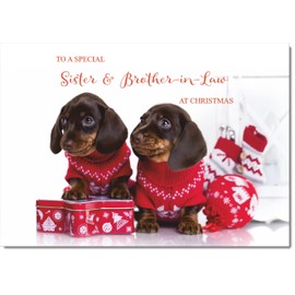 doodlecards Sister and Brother in Law Christmas Card Two Dogs with Christmas Jumpers Medium Size Christmas Card for Sister & Brother-in-Law with Plain Envelope