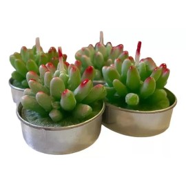 KFMX Juego 4 Velas Aromáticas Decorativas Suculentas Cactus