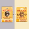 Burt's Bees Beeswax Lip Balm with Vitamin E & Peppermint