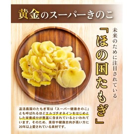 Warm Farm Tamogi Mushrooms, Made in Japan, 100% Powder, 1.8 oz (50 g), Tamogi Mushrooms, Powder, Ergothionain, Tamogitake