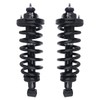 Autoround Pair 171125 Rear Complete Shock Absorber Compatible with Ford