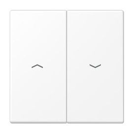 Jung LS995PWWM Double Button Roller Shutter White Matt