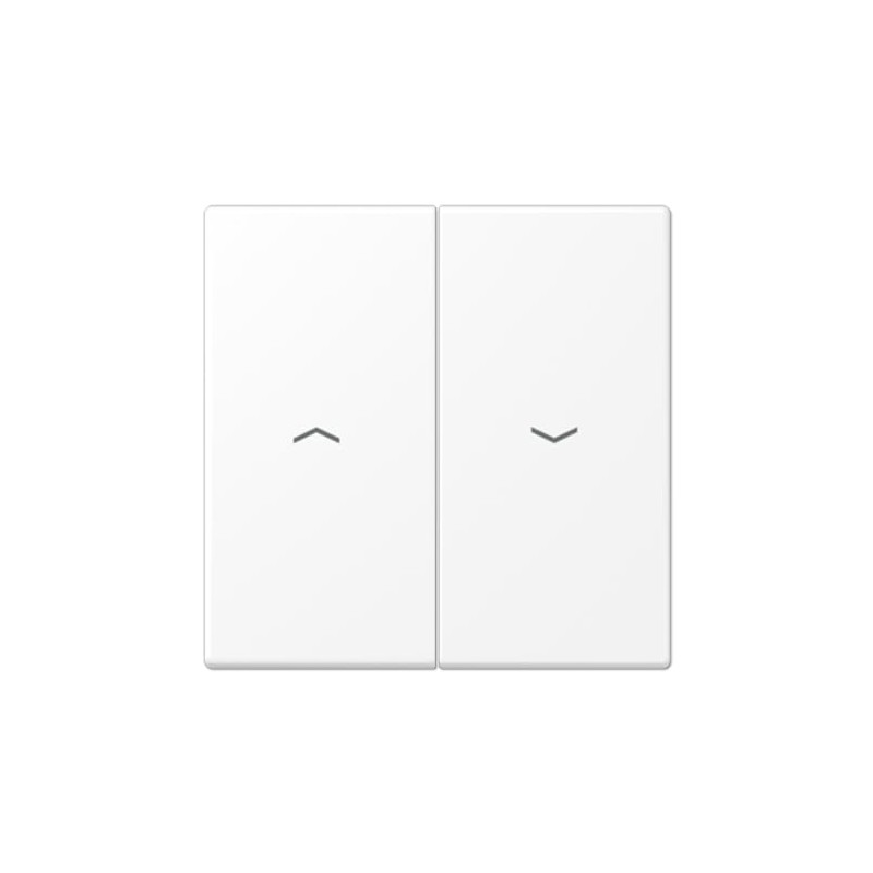 Jung LS995PWWM Double Button Roller Shutter White Matt