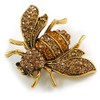 Vintage Inspired Champagne/Amber Crystal Bee Brooch In Aged Gold Tone