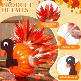 WinnerWhy 4 Pcs Thanksgiving Turkey Pumpkin Making Kit Feather Turkey Decoration DIY Making Craft Kit, Fall Harvest Decoration for Pumpkin Poke in Thanksgiving Home Outdoor Indoor