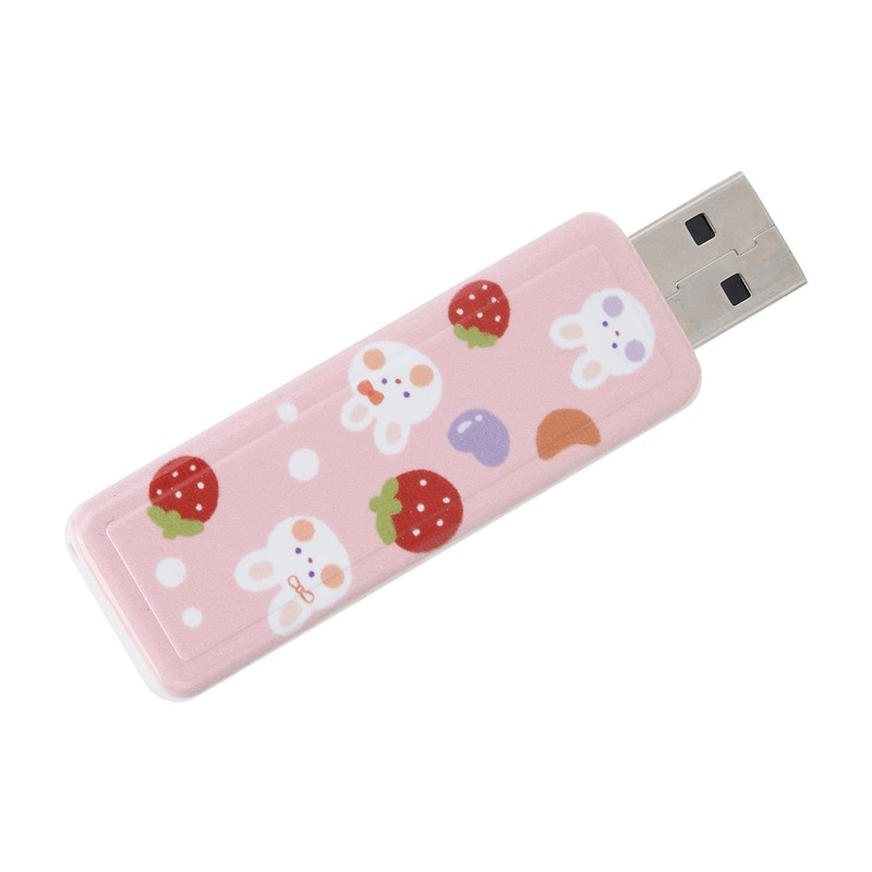 U Disk PushPull USB2.0 Memory Car Flash Drive Computer Accessories