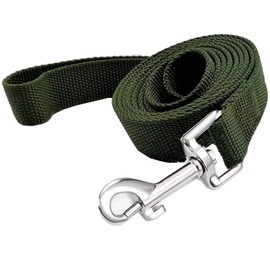 TAIAN 4FT/5FT/6FT Strong Dog Leash, Nylon Dog Leashes for Small Medium Large Dogs (3/4 in x 5 ft, Green)