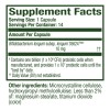 Align Probiotic Supplement 14 Count (packaging May Vary)